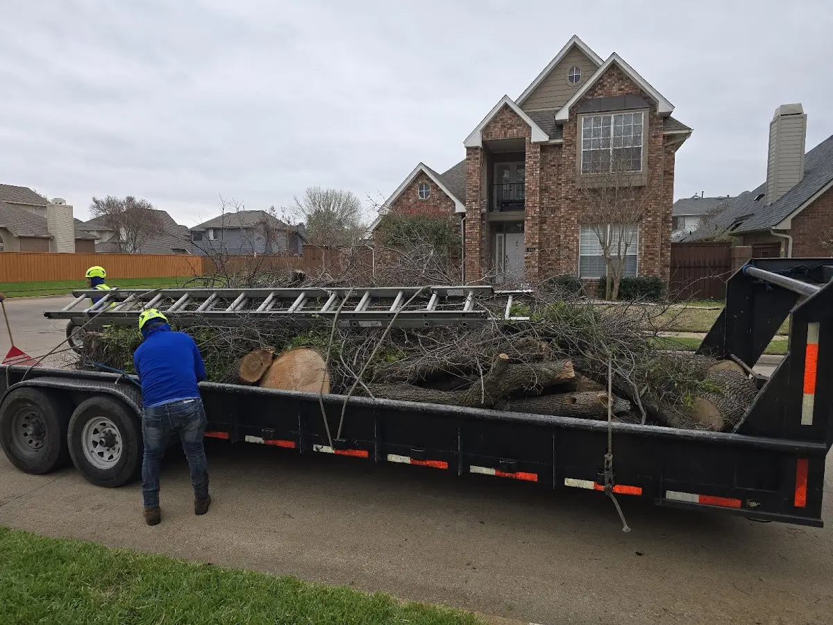 Expert Tree Fertilization with proper safety equipment in Kirby